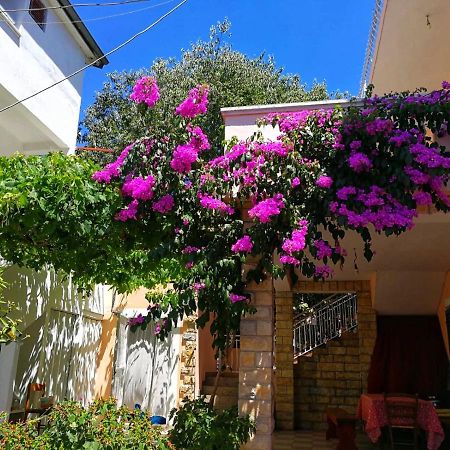 Apartmani Leon Biograd Na Moru Extérieur photo